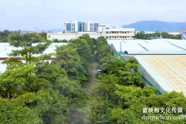 宣傳片拍攝